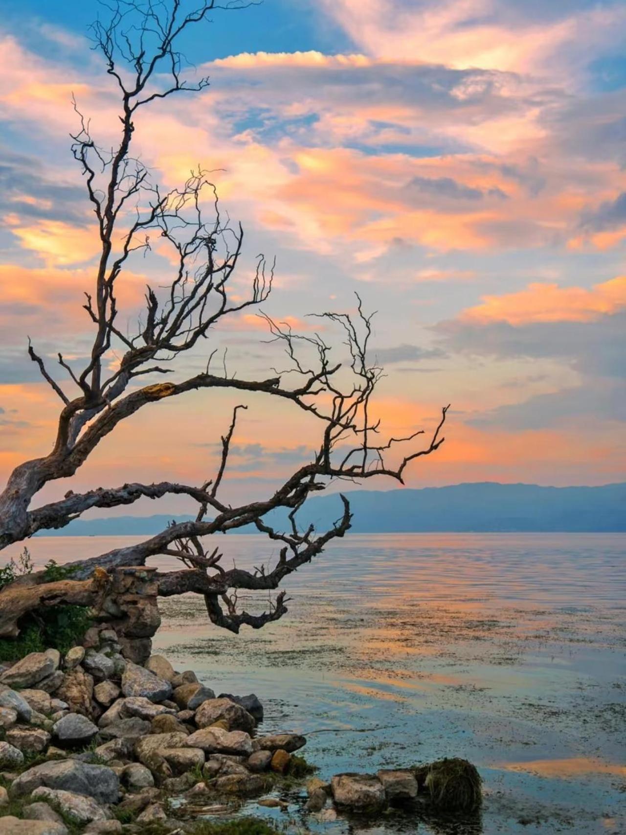 Dali Nest Secret Garden Lake View Inn ภายนอก รูปภาพ